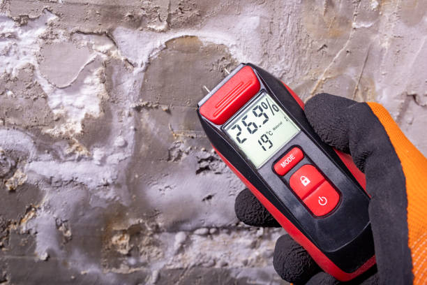 Best Localized Mold Remediation (e.g., coastal areas, humid climates) in Berkley, MI