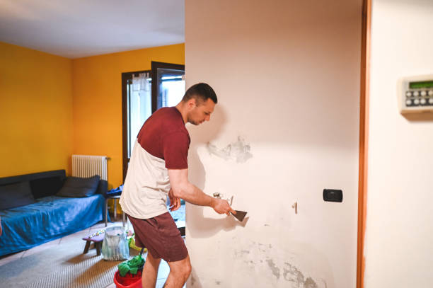 Best Residential Mold Remediation in Berkley, MI